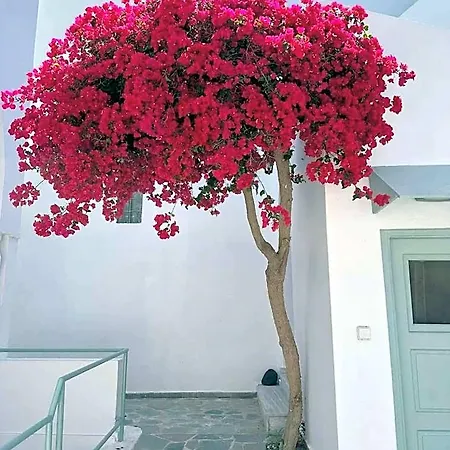 Lefkothea